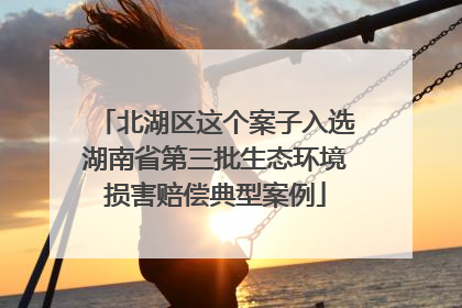 北湖区这个案子入选湖南省第三批生态环境损害赔偿典型案例