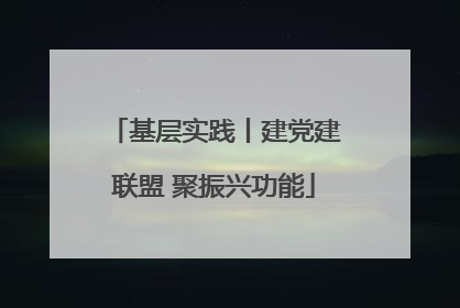 基层实践丨建党建联盟 聚振兴功能