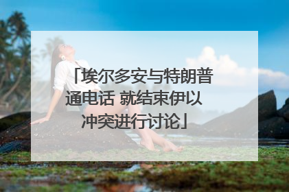 埃尔多安与特朗普通电话 就结束伊以冲突进行讨论