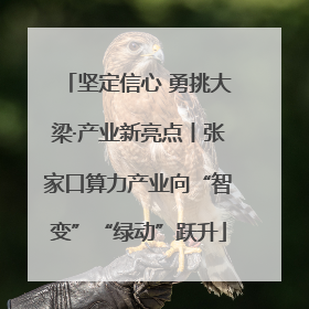 坚定信心 勇挑大梁·产业新亮点丨张家口算力产业向“智变”“绿动”跃升