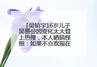 吴镇宇16岁儿子吴费曼因变化太大登上热搜，本人晒搞怪照：如果不喜欢现在的我可以离开