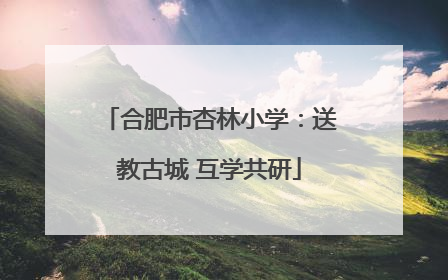 合肥市杏林小学：送教古城 互学共研