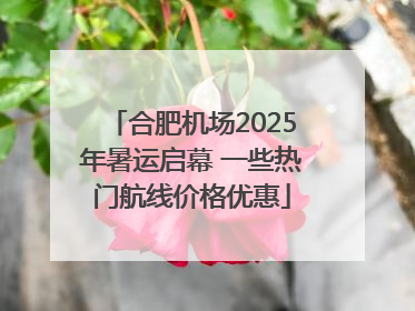 合肥机场2025年暑运启幕 一些热门航线价格优惠