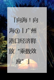 向海！向海③丨广州港口经济释放“乘数效应”