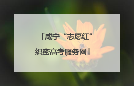 咸宁“志愿红”织密高考服务网