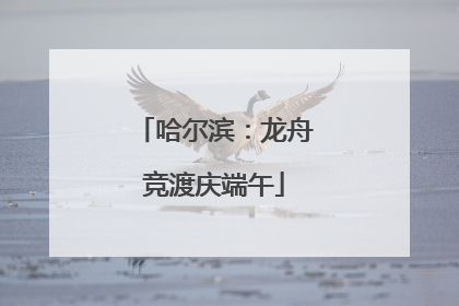 哈尔滨：龙舟竞渡庆端午