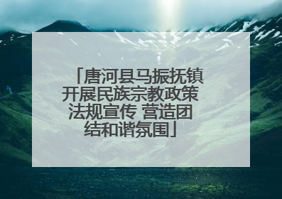 唐河县马振抚镇开展民族宗教政策法规宣传 营造团结和谐氛围