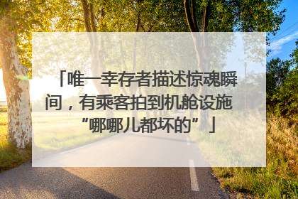 唯一幸存者描述惊魂瞬间，有乘客拍到机舱设施“哪哪儿都坏的”
