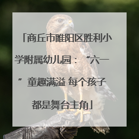 商丘市睢阳区胜利小学附属幼儿园：“六一”童趣满溢 每个孩子都是舞台主角