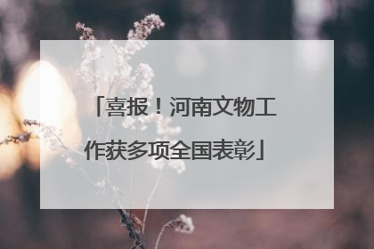 喜报！河南文物工作获多项全国表彰