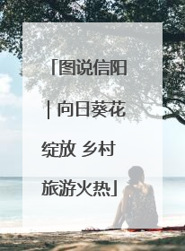 图说信阳｜向日葵花绽放 乡村旅游火热