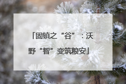 固镇之“谷”：沃野“智”变筑粮安