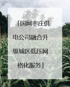 国网枣庄供电公司融合升级城区低压网格化服务