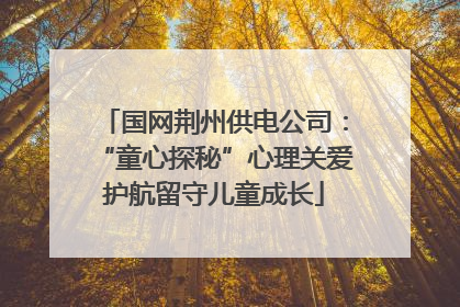 国网荆州供电公司：“童心探秘”心理关爱护航留守儿童成长