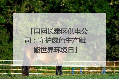 国网长泰区供电公司：守护绿色生产赋能世界环境日
