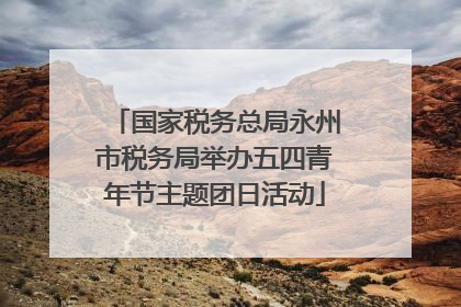 国家税务总局永州市税务局举办五四青年节主题团日活动