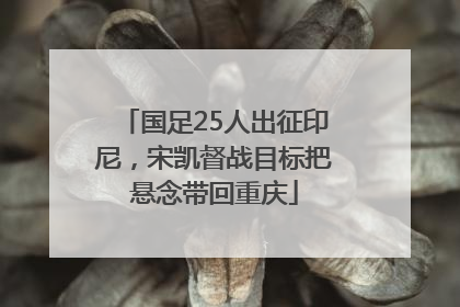 国足25人出征印尼，宋凯督战目标把悬念带回重庆