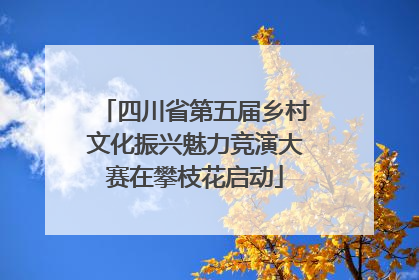 四川省第五届乡村文化振兴魅力竞演大赛在攀枝花启动
