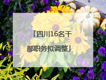 四川16名干部职务拟调整