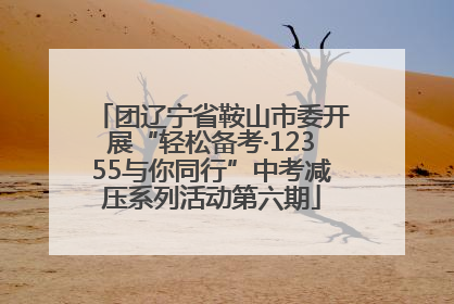 团辽宁省鞍山市委开展“轻松备考·12355与你同行”中考减压系列活动第六期