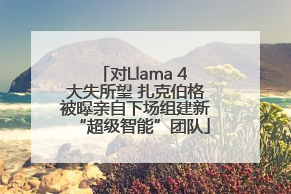对Llama 4大失所望 扎克伯格被曝亲自下场组建新“超级智能”团队