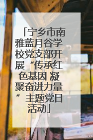 宁乡市南雅蓝月谷学校党支部开展“传承红色基因 凝聚奋进力量”主题党日活动