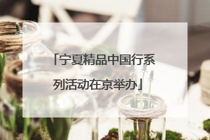 宁夏精品中国行系列活动在京举办