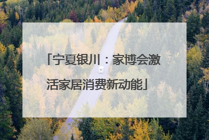 宁夏银川：家博会激活家居消费新动能