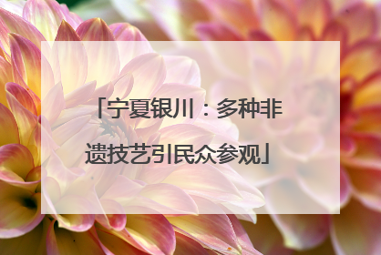 宁夏银川：多种非遗技艺引民众参观