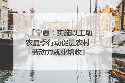 宁夏：实施以工助农夏季行动促进农村劳动力就业增收