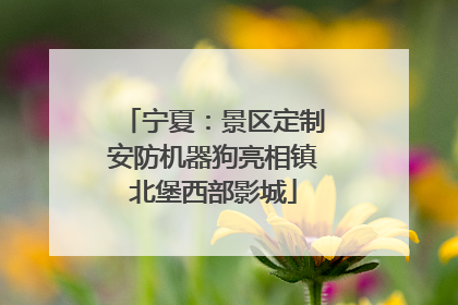 宁夏：景区定制安防机器狗亮相镇北堡西部影城