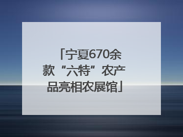 宁夏670余款“六特”农产品亮相农展馆