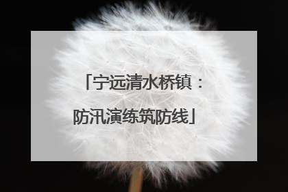 宁远清水桥镇：防汛演练筑防线