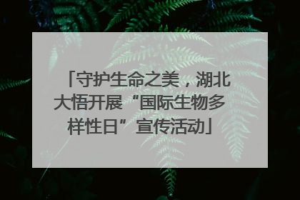 守护生命之美，湖北大悟开展“国际生物多样性日”宣传活动