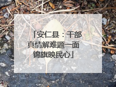 安仁县：干部真情解难题一面锦旗映民心