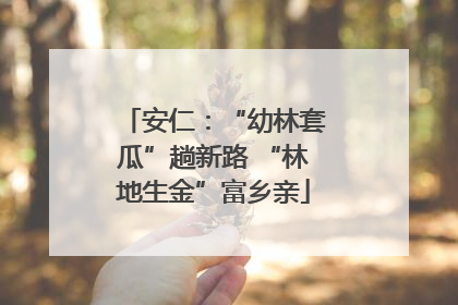 安仁：“幼林套瓜”趟新路 “林地生金”富乡亲