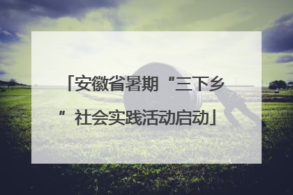 安徽省暑期“三下乡”社会实践活动启动