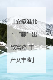 安徽淮北：“蒜”出致富路 丰产又丰收