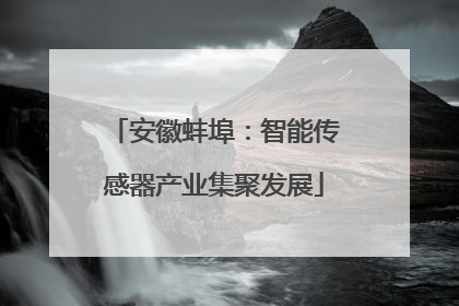 安徽蚌埠：智能传感器产业集聚发展