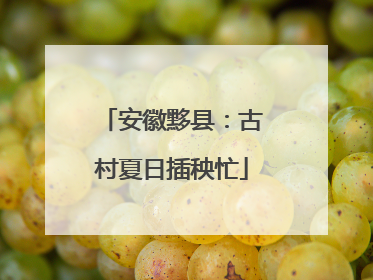 安徽黟县：古村夏日插秧忙