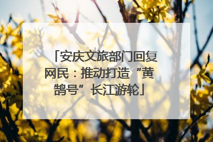 安庆文旅部门回复网民：推动打造“黄鹄号”长江游轮