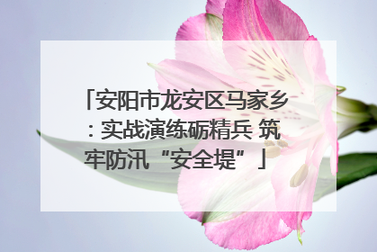 安阳市龙安区马家乡：实战演练砺精兵 筑牢防汛“安全堤”