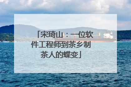 宋琦山：一位软件工程师到茶乡制茶人的蝶变
