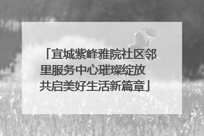 宜城紫峰雅院社区邻里服务中心璀璨绽放 共启美好生活新篇章