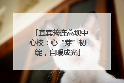 宜宾筠连蒿坝中心校：心“芽”初绽，自暖成光