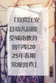 宜宾江安县幼儿园接受城南教育督导组2025年春期常规督查
