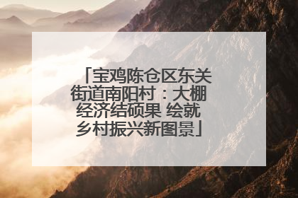 宝鸡陈仓区东关街道南阳村：大棚经济结硕果 绘就乡村振兴新图景