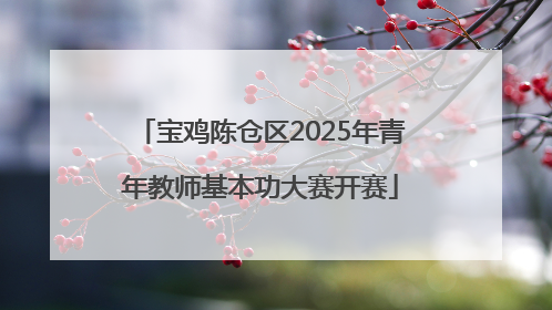 宝鸡陈仓区2025年青年教师基本功大赛开赛