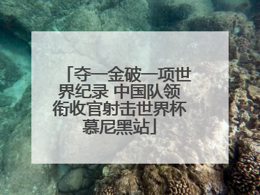 夺一金破一项世界纪录 中国队领衔收官射击世界杯慕尼黑站