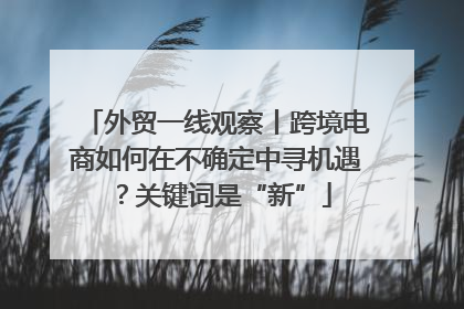 外贸一线观察丨跨境电商如何在不确定中寻机遇？关键词是“新”